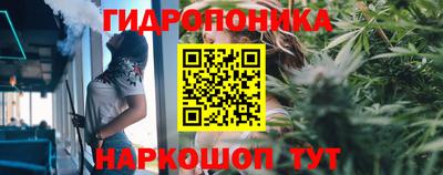 бошки Жуковский