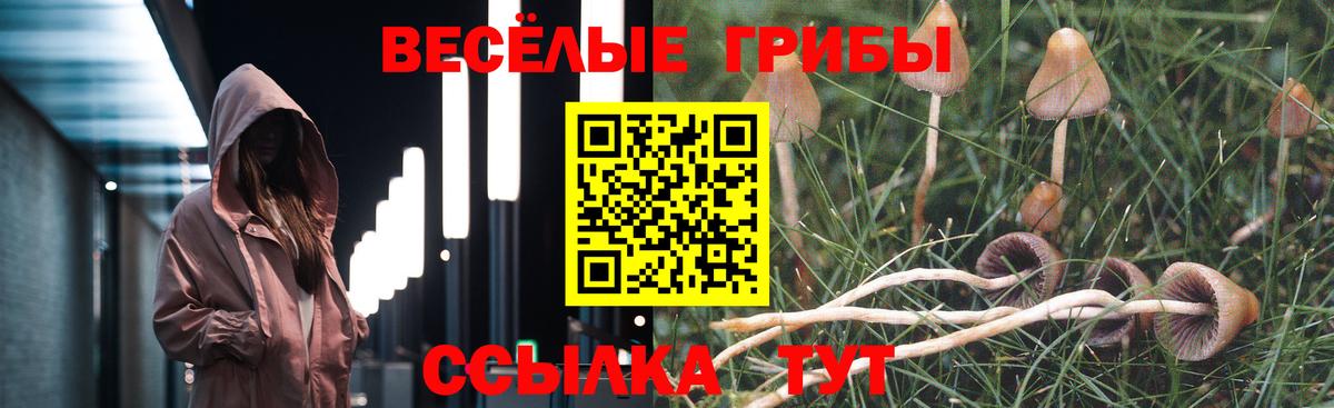 Галлюциногенные грибы ЛСД Кызыл
