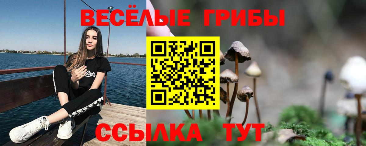Кызыл  Галлюциногенные грибы мицелий  магазин продажи   Галлюциногенные грибы GOLDEN TEACHER  Вход с VPN 
